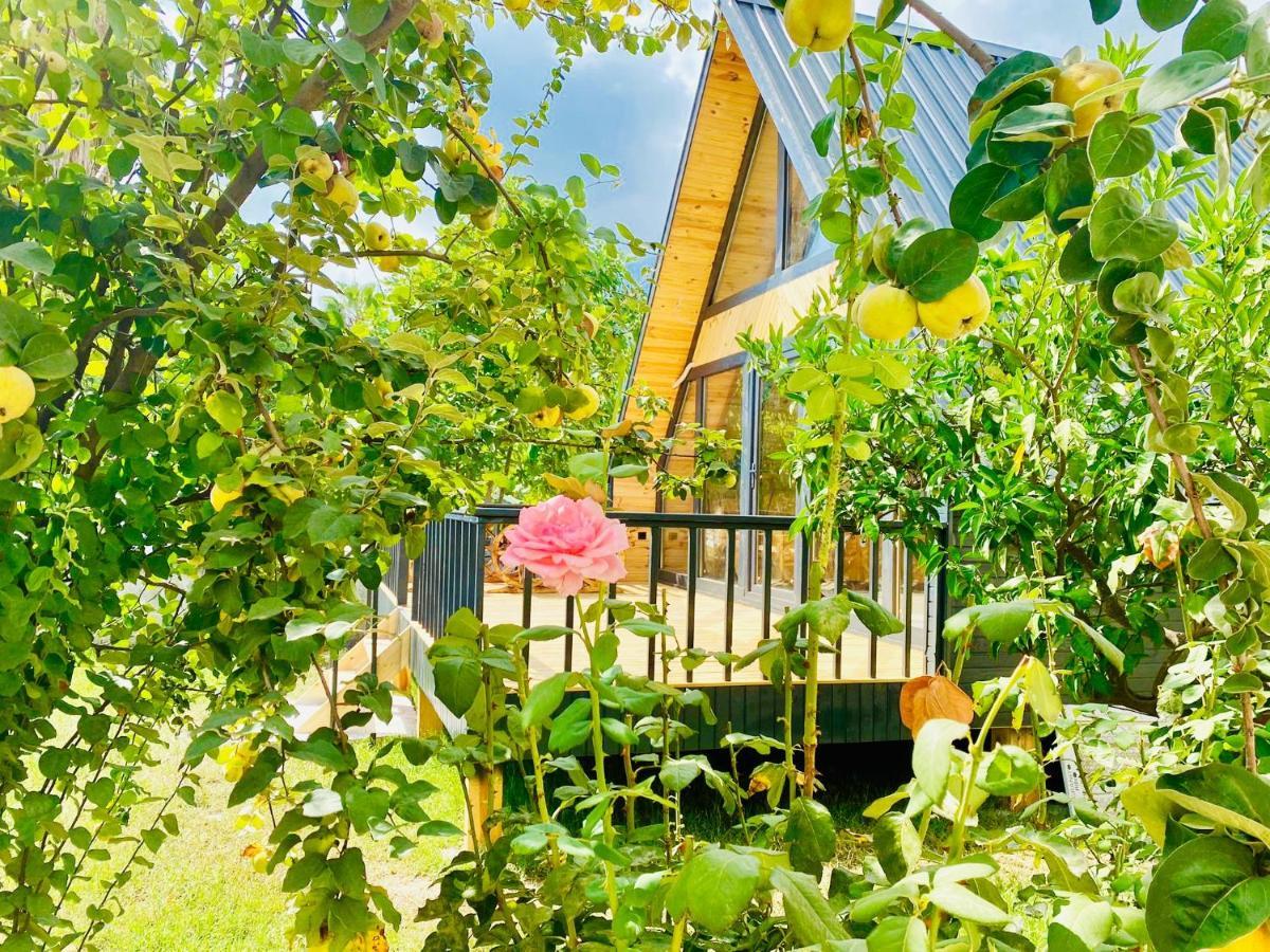 Otel Garden *